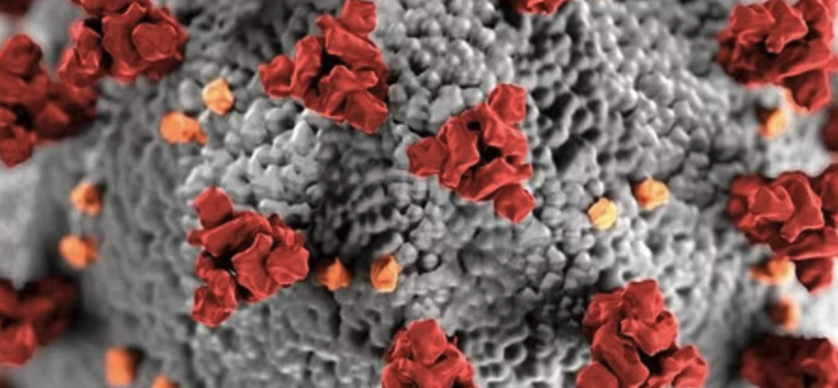 Seasonal-Influenza-Awareness_